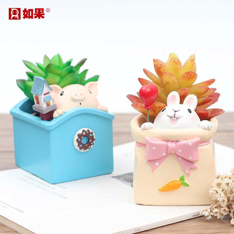 偷偷看世界花盆